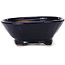 Round blue bonsai pot by Bonsai - 115 x 115 x 50 mm