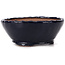 Round blue bonsai pot by Bonsai - 125 x 125 x 50 mm