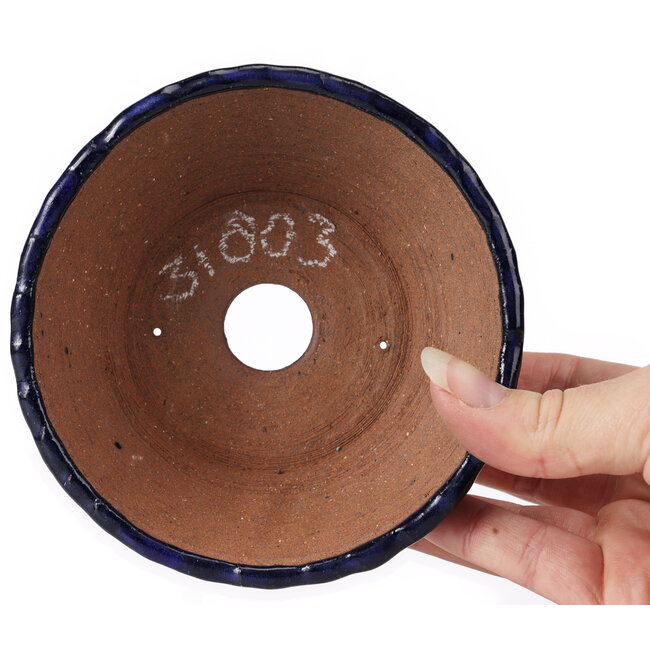 Ronde blauwe bonsaipot van Bonsai - 125 x 125 x 50 mm