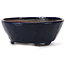 Round blue bonsai pot by Bonsai - 115 x 115 x 45 mm