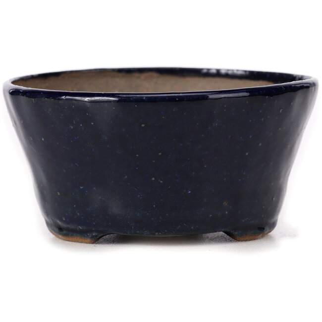 Vaso bonsai rotondo blu di Bonsai - 100 x 100 x 50 mm