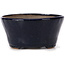 Pot à bonsaï rond bleu par Bonsai - 100 x 100 x 50 mm