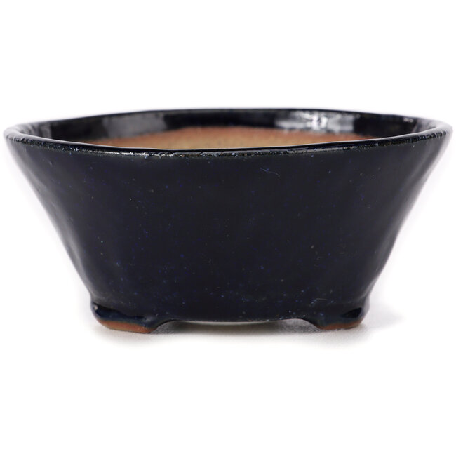 Pot à bonsaï rond bleu par Bonsai - 100 x 100 x 45 mm