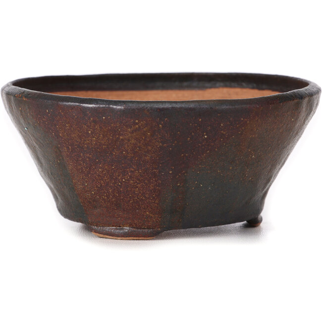 Maceta de bonsái marrón redonda de Bonsai - 125 x 125 x 55 mm