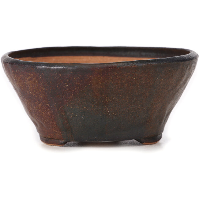 Vaso bonsai rotondo marrone di Bonsai - 125 x 125 x 55 mm