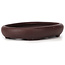 Pot à bonsaï ovale non émaillé par Yamaaki - 110 x 85 x 20 mm