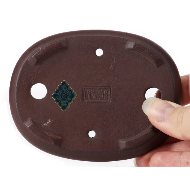 Pot à bonsaï ovale non émaillé par Yamaaki - 110 x 85 x 20 mm