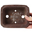 Pot à bonsaï rectangulaire non émaillé par Yamaaki - 150 x 120 x 45 mm