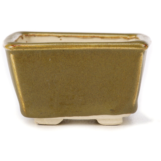 Pot à bonsaï carré vert et marron par Seto - 85 x 80 x 45 mm