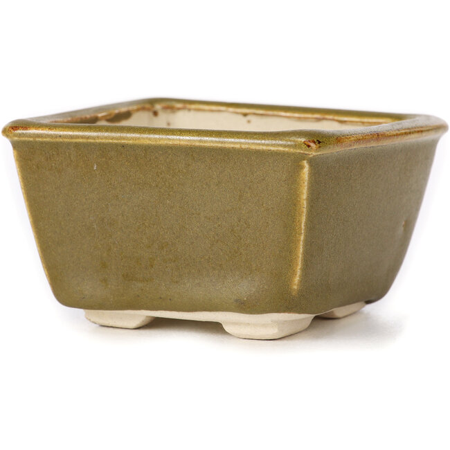 Pot à bonsaï carré vert et marron par Seto - 85 x 80 x 45 mm