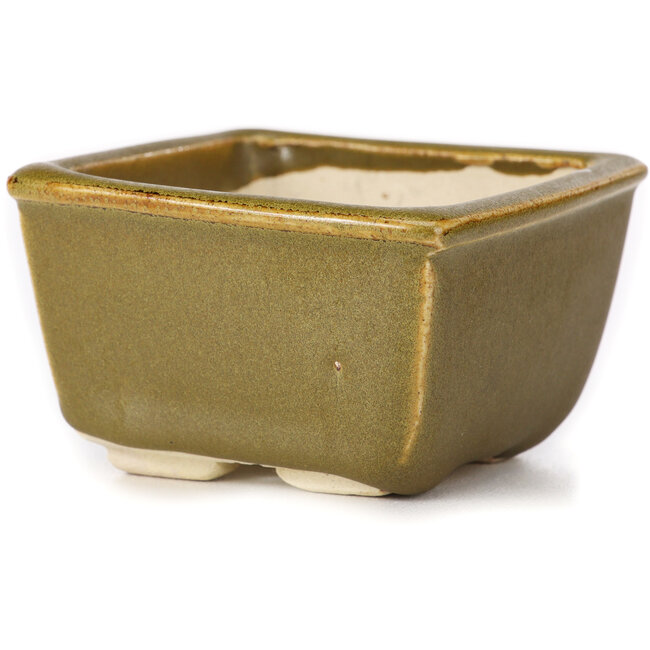 Pot à bonsaï carré vert et marron par Seto - 85 x 80 x 45 mm