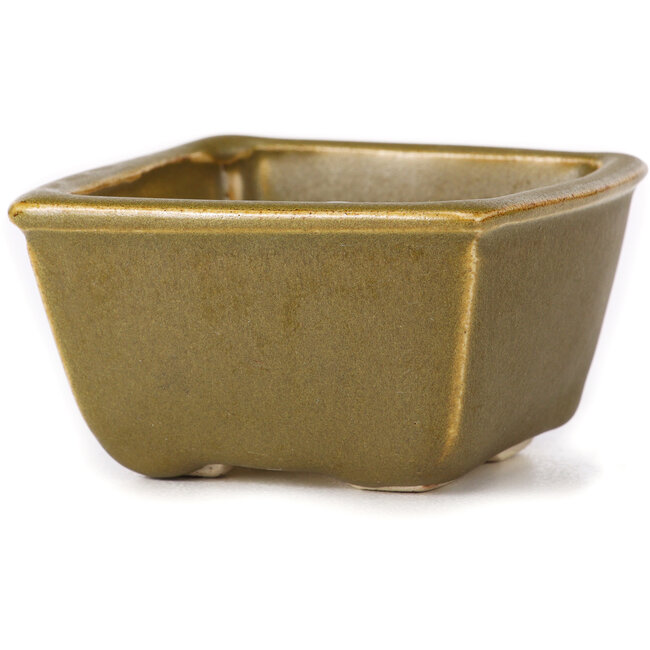 Vierkante groene en bruine bonsaipot van Seto - 85 x 80 x 45 mm