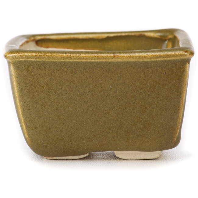 Quadratische grüne und braune Bonsaischale von Seto - 85 x 80 x 45 mm