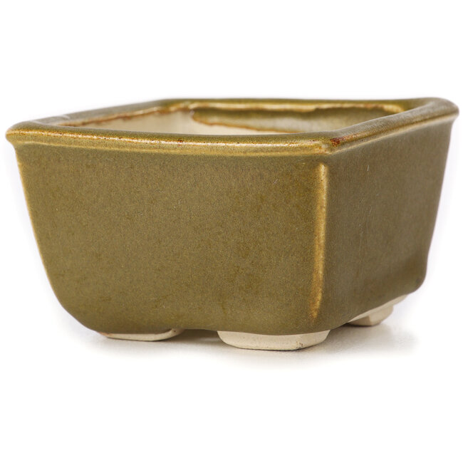 Vaso bonsai quadrato verde e marrone di Seto - 85 x 80 x 45 mm