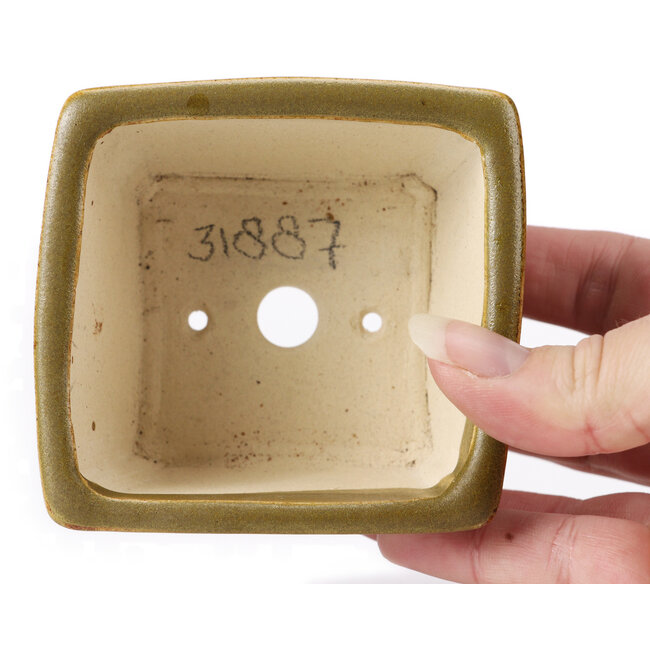 Square green and brown bonsai pot by Seto - 85 x 80 x 45 mm