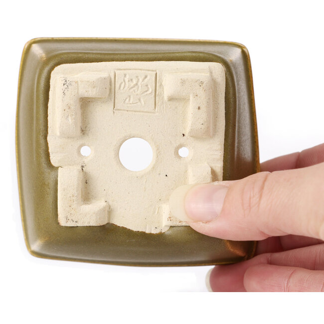 Maceta de bonsái cuadrada verde y marrón de Seto - 85 x 80 x 45 mm