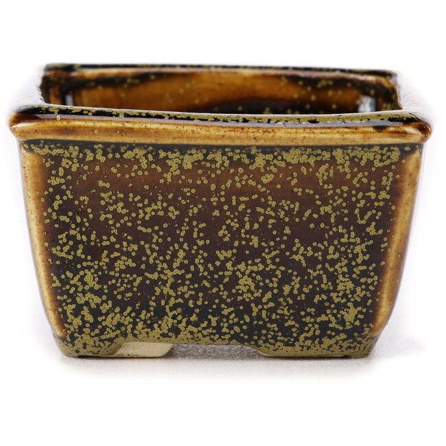 Square brown bonsai pot by Seto - 85 x 80 x 45 mm