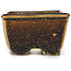 Square brown bonsai pot by Seto - 85 x 80 x 45 mm