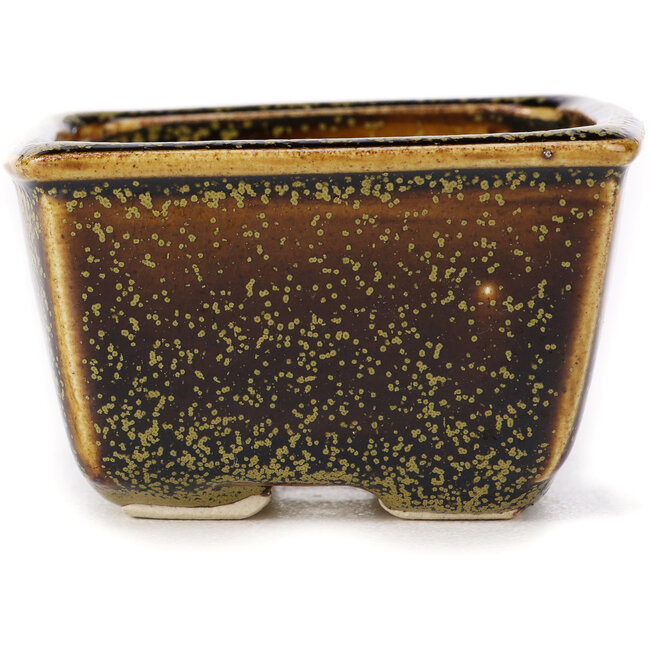 Quadratische braune Bonsaischale von Seto - 85 x 85 x 45 mm