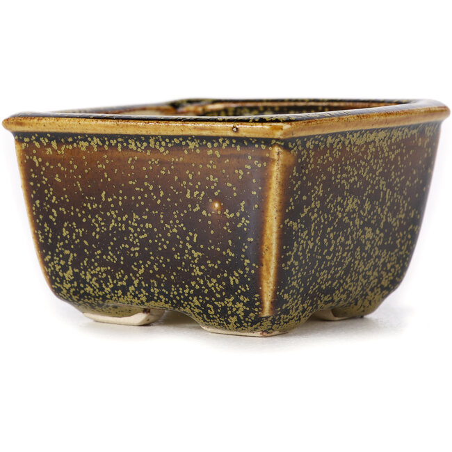 Pot à bonsaï carré marron par Seto - 85 x 85 x 45 mm
