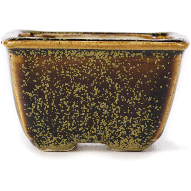 Maceta de bonsái cuadrada marrón de Seto - 85 x 85 x 45 mm