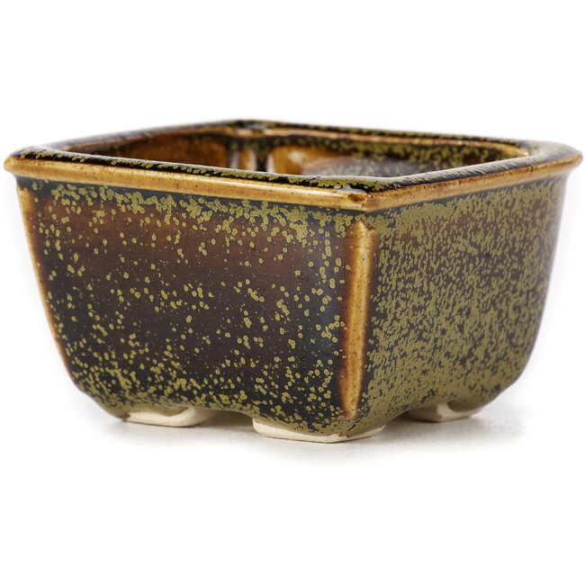 Pot à bonsaï carré marron par Seto - 85 x 85 x 45 mm