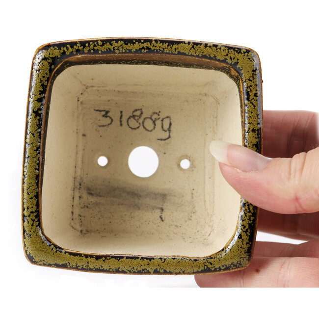 Pot à bonsaï carré marron par Seto - 85 x 85 x 45 mm