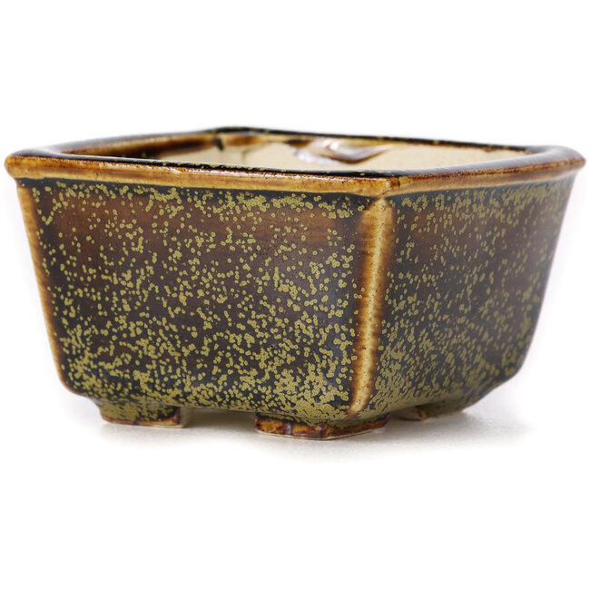 Maceta de bonsái cuadrada marrón de Seto - 85 x 80 x 45 mm