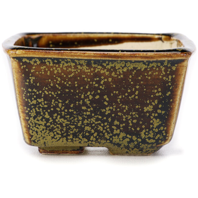 Maceta de bonsái cuadrada marrón de Seto - 85 x 80 x 45 mm