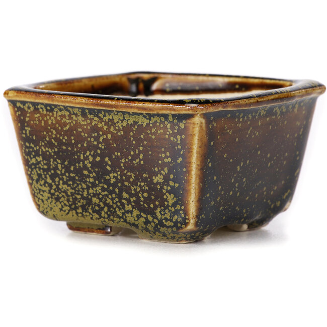 Maceta de bonsái cuadrada marrón de Seto - 85 x 80 x 45 mm