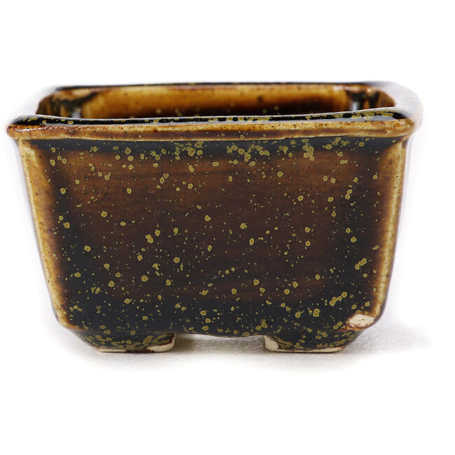Pot à bonsaï carré marron par Seto - 85 x 80 x 45 mm