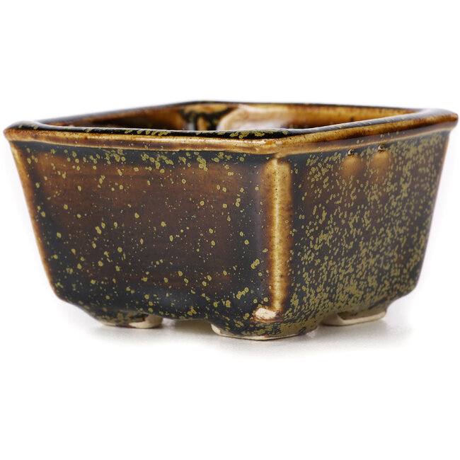 Square brown bonsai pot by Seto - 85 x 80 x 45 mm