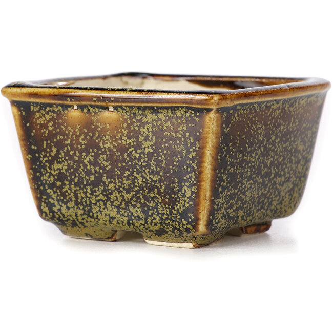 Square brown bonsai pot by Seto - 85 x 80 x 45 mm