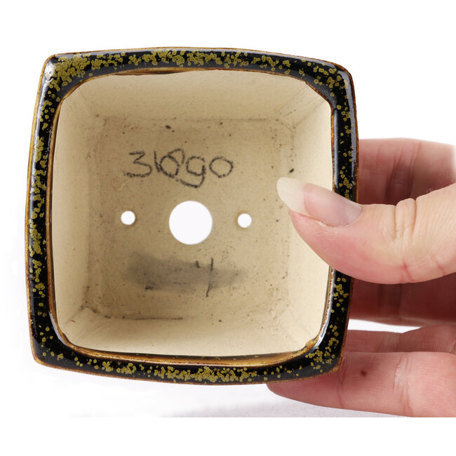 Square brown bonsai pot by Seto - 85 x 80 x 45 mm