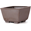Square unglazed bonsai pot by Seto - 85 x 80 x 50 mm