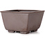 Square unglazed bonsai pot by Seto - 85 x 80 x 50 mm