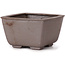 Pot à bonsaï carré non émaillé par Seto - 85 x 80 x 50 mm