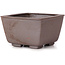 Pot à bonsaï carré non émaillé par Seto - 85 x 80 x 50 mm