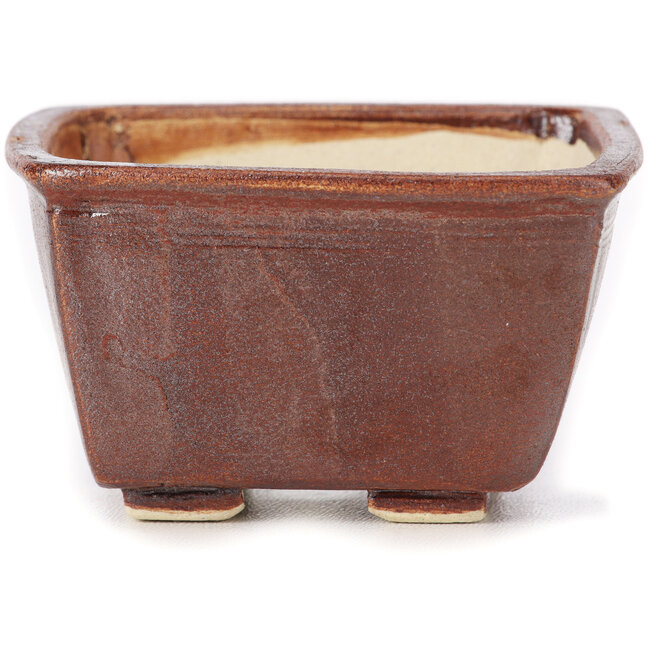 Pot à bonsaï carré marron par Seto - 85 x 85 x 50 mm