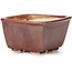 Pot à bonsaï carré marron par Seto - 85 x 85 x 50 mm