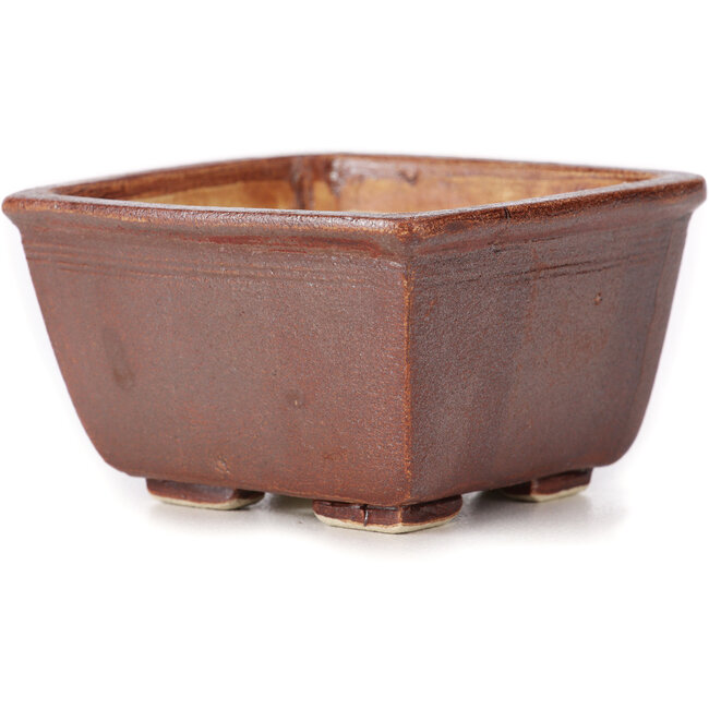 Square brown bonsai pot by Seto - 85 x 85 x 50 mm