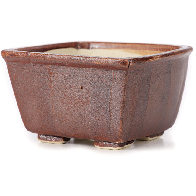 Vaso bonsai quadrato marrone di Seto - 85 x 85 x 50 mm
