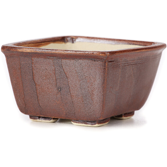 Quadratische braune Bonsaischale von Seto - 85 x 85 x 50 mm