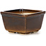 Square brown bonsai pot by Seto - 80 x 80 x 45 mm