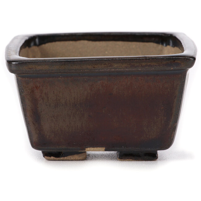 Maceta de bonsái cuadrada marrón de Seto - 80 x 80 x 45 mm