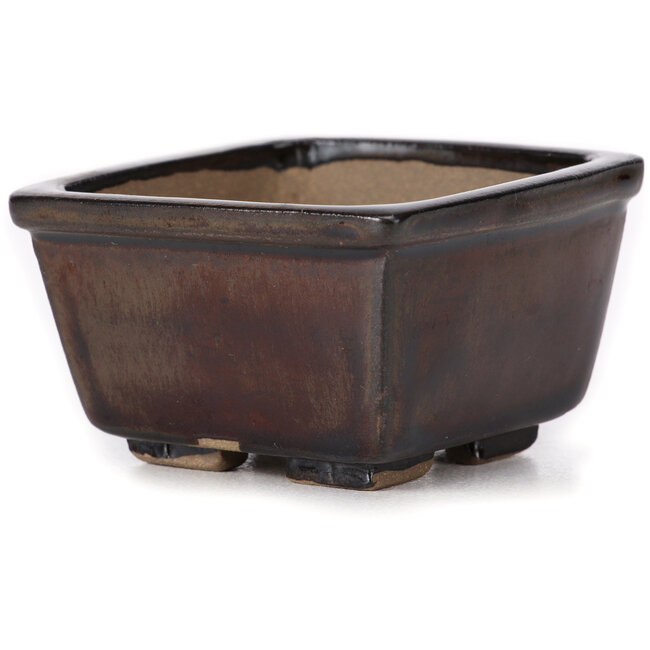 Pot à bonsaï carré marron par Seto - 80 x 80 x 45 mm