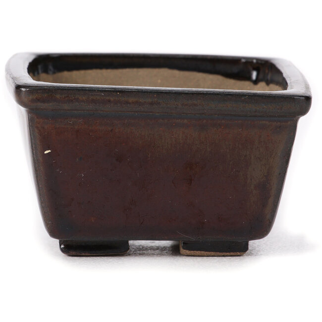Maceta de bonsái cuadrada marrón de Seto - 80 x 80 x 45 mm