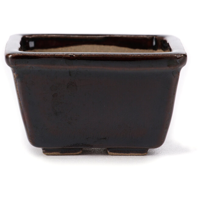 Square brown bonsai pot by Seto - 80 x 75 x 45 mm