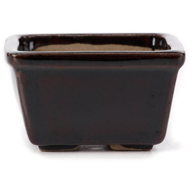 Vaso bonsai quadrato marrone di Seto - 80 x 75 x 45 mm