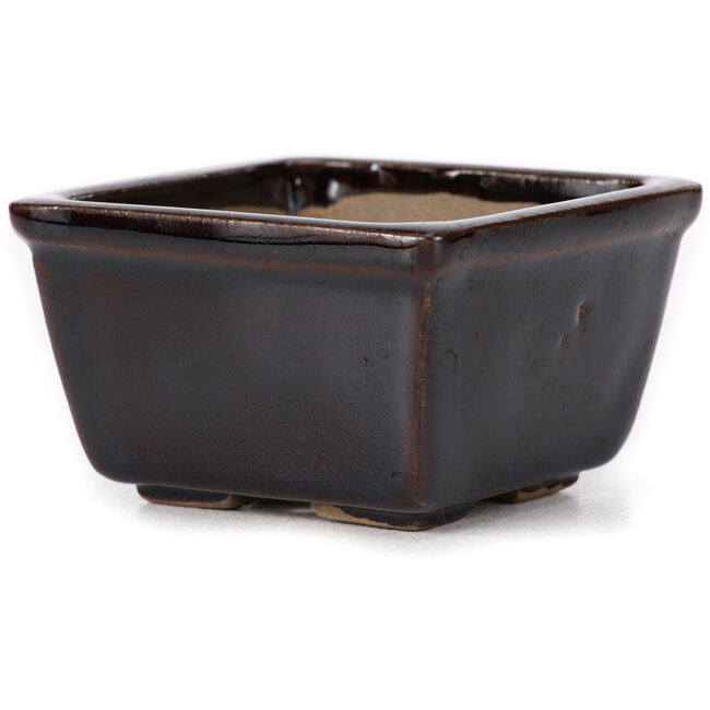 Square brown bonsai pot by Seto - 80 x 75 x 45 mm